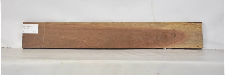 CHECH1351_1