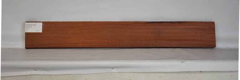 PADAUK1706_1