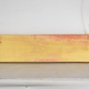 YROSA1009_1